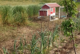 Foto 9