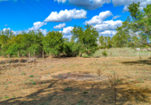 Finca rústica en venta en la XCXX+593 Palencia, Palencia, ref: TR73264 foto