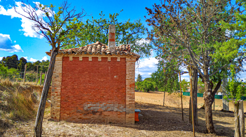 Palencia - Palencia - 4384m2