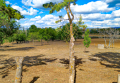 Finca rústica en venta en la XCXX+593 Palencia, Palencia, ref: TR73264 foto