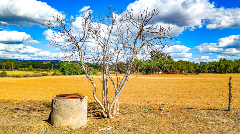 Palencia - Palencia - 4384m2