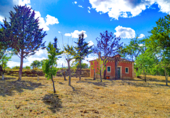 Finca rústica en venta en la XCXX+593 Palencia, Palencia, ref: TR73264 foto