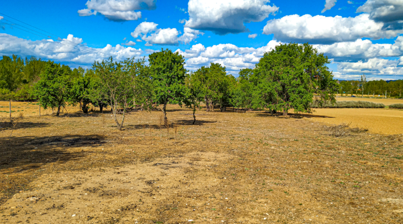 Palencia - Palencia - 4384m2