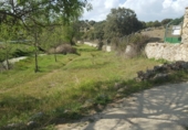 Industrial warehouse for sale on Las Gateras, Colmenar Viejo, ref: TR73263 photo