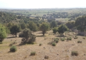 Industrial warehouse for sale on Las Gateras, Colmenar Viejo, ref: TR73263 photo