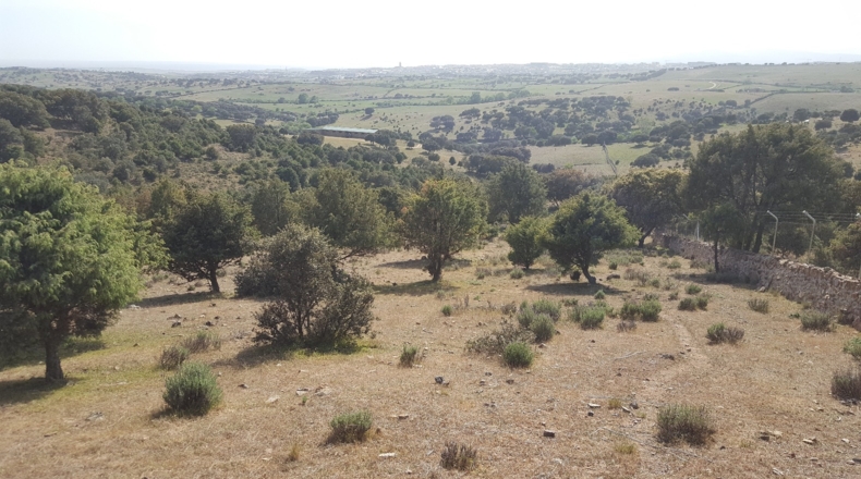 Comunidad de Madrid - Colmenar Viejo - 152500m2