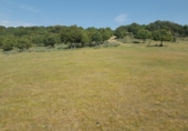 Industrial warehouse for sale on Las Gateras, Colmenar Viejo, ref: TR73263 photo