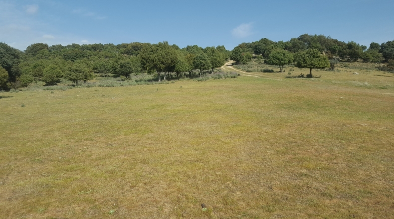 Comunidad de Madrid - Colmenar Viejo - 152500m2