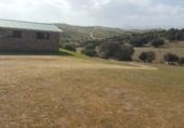 Industrial warehouse for sale on Las Gateras, Colmenar Viejo, ref: TR73263 photo