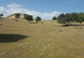 Industrial warehouse for sale on Las Gateras, Colmenar Viejo, ref: TR73263 photo