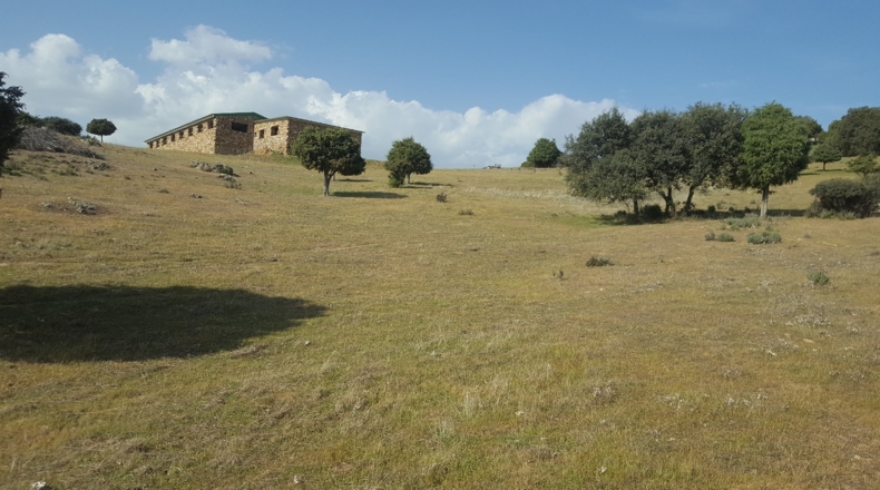 Comunidad de Madrid - Colmenar Viejo - 152500m2