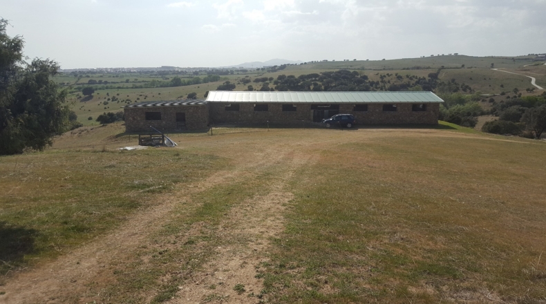 Comunidad de Madrid - Colmenar Viejo - 152500m2