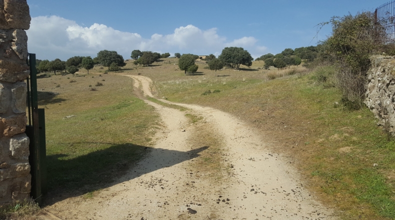 Comunidad de Madrid - Colmenar Viejo - 152500m2