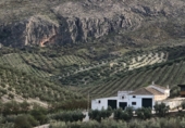 Rural estate for sale on Vereda del Cerrillo de la Horca Playares y Fuente del Espino, Loja, ref: TR73268 photo