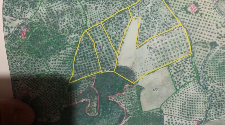 Granada - Loja - 80000m2