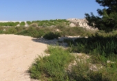 Parcel·la urbanitzable en venda a la PR-MU 34.1, Molina de Segura, ref.: TR73281 foto