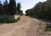 Parcel·la urbanitzable en venda a la PR-MU 34.1, Molina de Segura, ref.: TR73281 foto