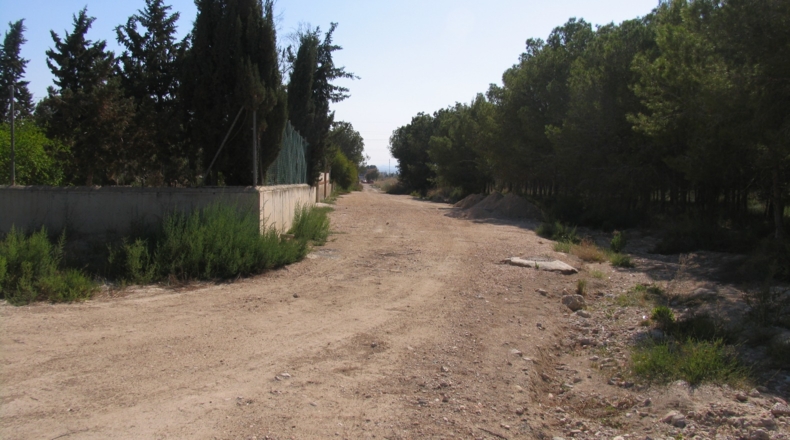 Murcia - Molina de Segura - 1500m2