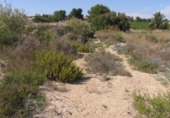Parcel·la urbanitzable en venda a la PR-MU 34.1, Molina de Segura, ref.: TR73281 foto