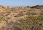 Terreny amb magatzem en venda a la RM-15, Múrcia, ref.: TR73280 foto