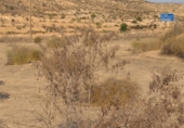 Terreny amb magatzem en venda a la RM-15, Múrcia, ref.: TR73280 foto