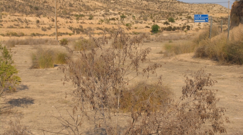 Murcia - Murcia - 5170m2