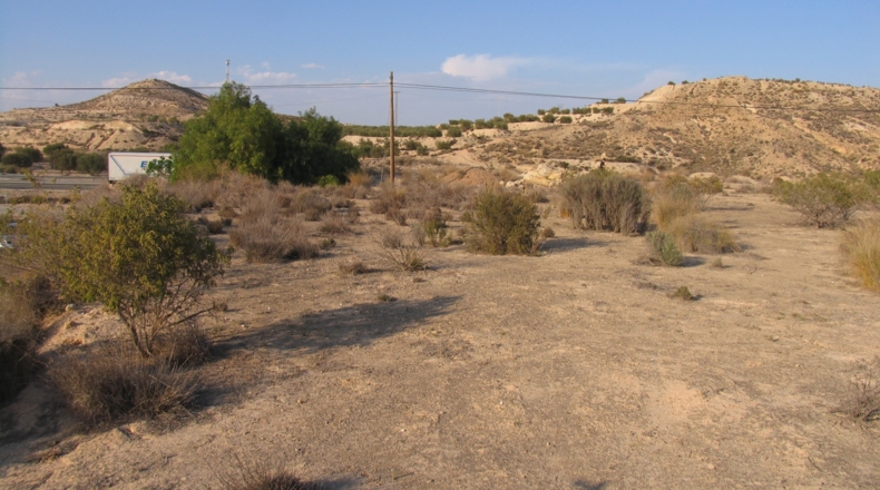 Murcia - Murcia - 5170m2