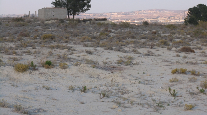 Murcia - Alguazas - 8000m2