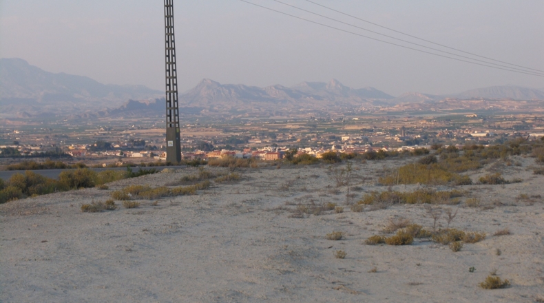 Murcia - Alguazas - 8000m2