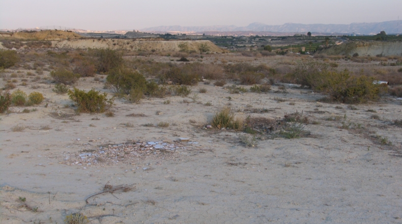Murcia - Alguazas - 8000m2