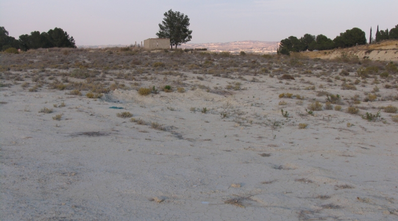 Murcia - Alguazas - 8000m2