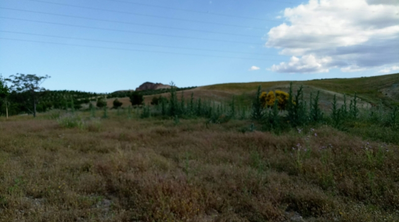 Granada - Gabia Grande - 58000m2