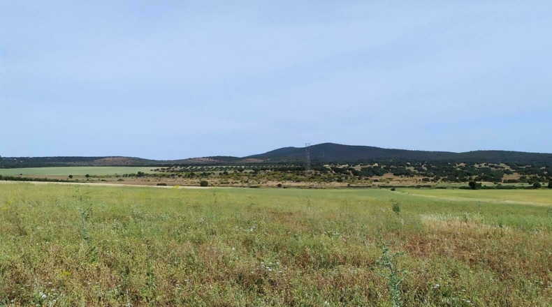 Badajoz - San Pedro de Mérida - 43700m2