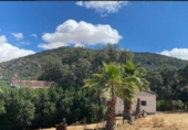 Rural estate for sale on BA-063, Esparragosa de la Serena, ref: TR73295 photo