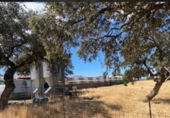 Rural estate for sale on BA-063, Esparragosa de la Serena, ref: TR73295 photo