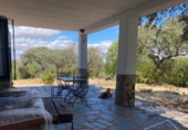 Rural estate for sale on BA-063, Esparragosa de la Serena, ref: TR73295 photo