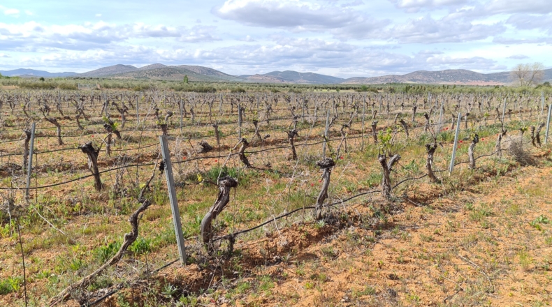 Ciudad Real - Malagón - 84500m2