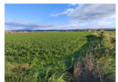 Non-developable land for sale on Pasaje La Lucea, Alagón, ref: TR73403 photo