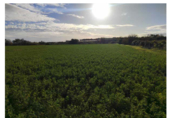 Non-developable land for sale on Pasaje La Lucea, Alagón, ref: TR73403 photo