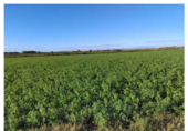Non-developable land for sale on Pasaje La Lucea, Alagón, ref: TR73403 photo