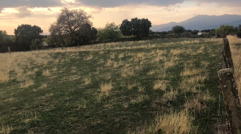 Toledo - Navalcán - 2643m2