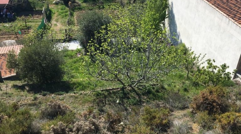 Granada - Beas de Granada - 490m2