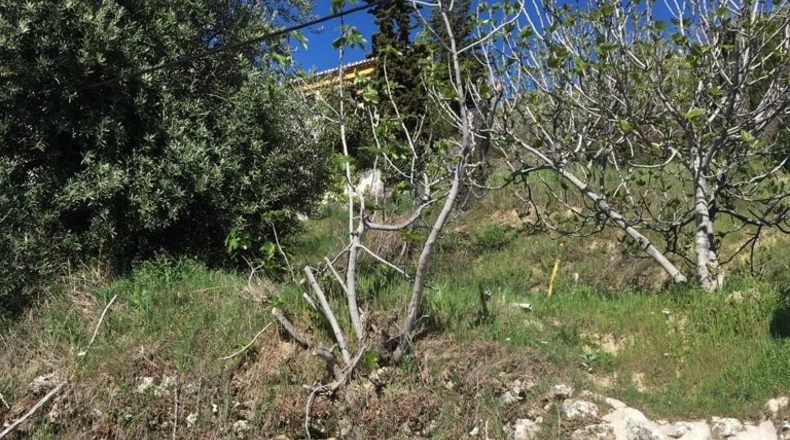 Granada - Beas de Granada - 490m2