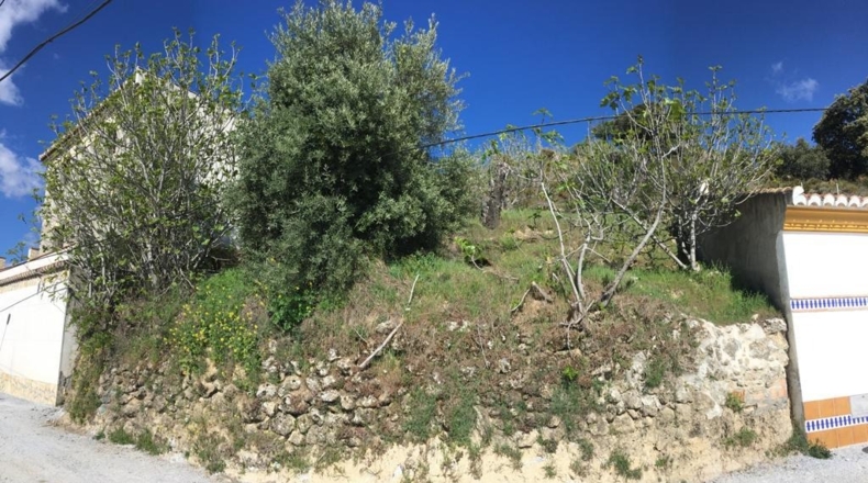 Granada - Beas de Granada - 490m2