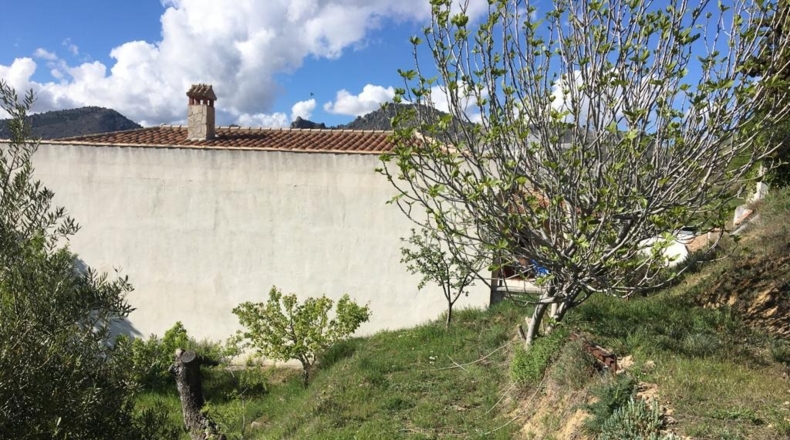 Granada - Beas de Granada - 490m2