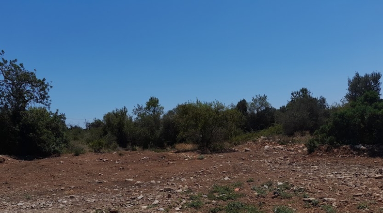Castellón - Cálig - 16300m2