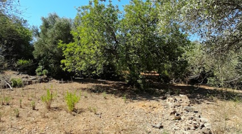 Castellón - Benicarló - 6100m2