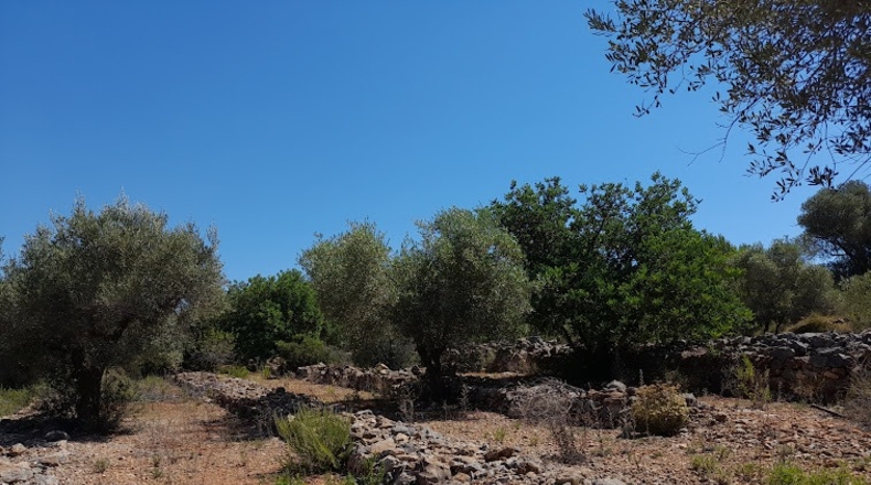 Castellón - Benicarló - 6100m2