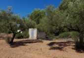 Non-developable land for sale on El Puig, Benicarló, ref: TR73410 photo
