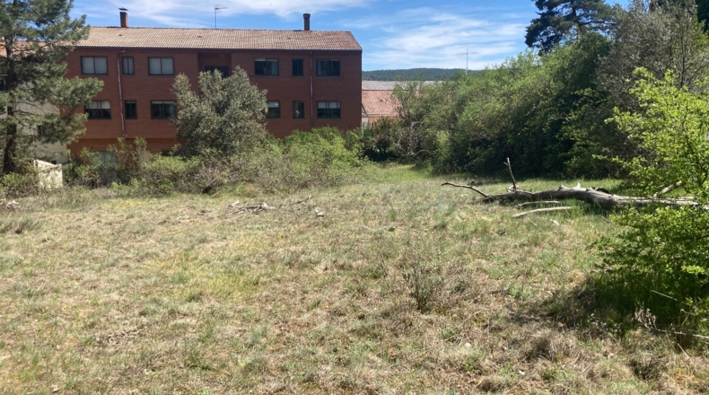 Soria - Navaleno - 4677m2